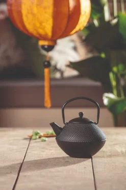 Bredemeijer Xinjang Theepot 1 Liter Gietijzer Zwart -Alessi Winkel bredemeijer xinjang theepot 1 liter gietijzer zwart 3